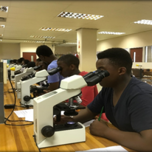 Elwandle Science Camp March 2018